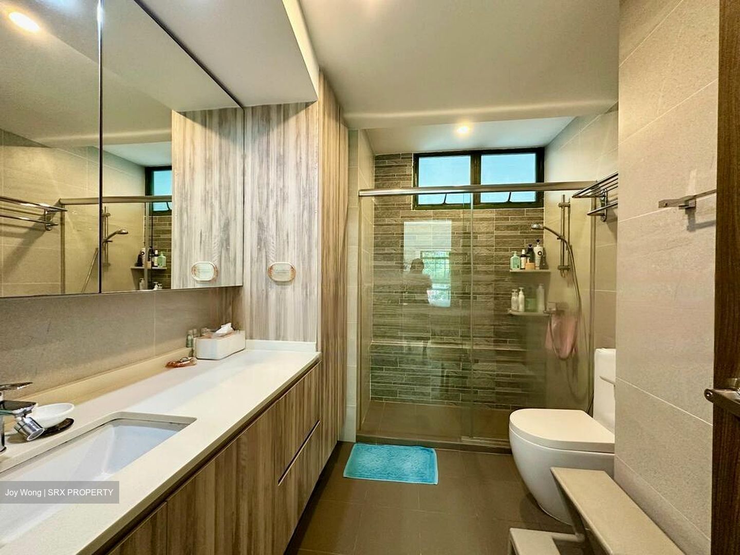 Signature Park (D21), Condominium #605132961